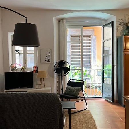 Appartamento Apartamento Con Encanto Y Terraza En Barri Vell De Girona, El Cul De La Lleona Esterno foto