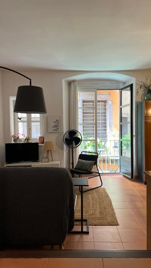 Appartamento Apartamento Con Encanto Y Terraza En Barri Vell De Girona, El Cul De La Lleona Esterno foto