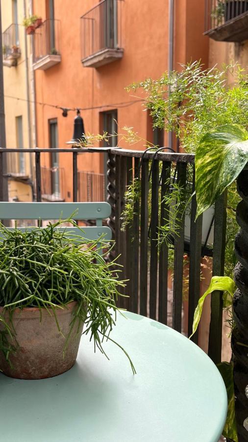 Appartamento Apartamento Con Encanto Y Terraza En Barri Vell De Girona, El Cul De La Lleona Esterno foto