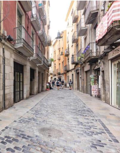 Appartamento Apartamento Con Encanto Y Terraza En Barri Vell De Girona, El Cul De La Lleona Esterno foto